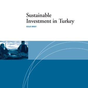 Sustaınable Investments In Turkey- Issue Brıef (2011)